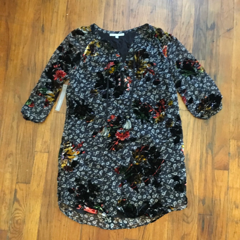 NWT Daniel‎ Rainn Anthropologie Dress Sz S Velvet Sheer Floral Boho Tassel Midi
